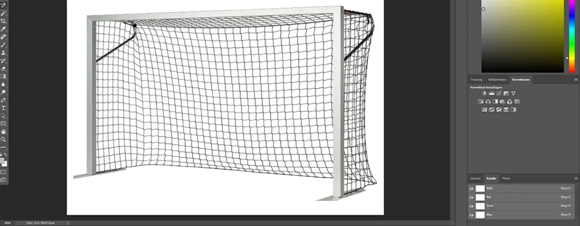 Have pictures professionally cropped